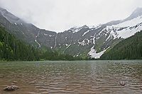 Wilderness of the Glacier National Park/ Glacier National Park