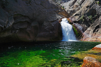 About waterfall with green water.../    ...
