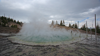 Yellowstone's baths/ 