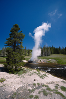 Riverside geyser