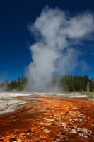 Daisy geyser