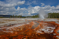 Daisy geyser