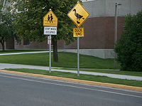 There are different signs.../  ...
