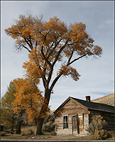 Fall in abandoned town/   