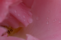 Macro.../...