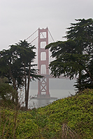 Again about the bridge in a fog.../    ...