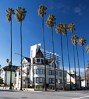 Long palms.../ ...