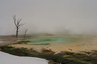 Lonely trees-4/ -4