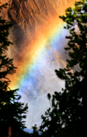 Rainbow/-