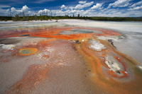 Acidic continuation.../ ...