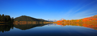 Our fall colors-1/  -1