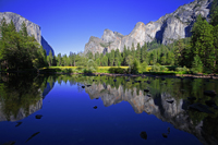 Reflections.../...