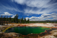 Overflowed acidic pools :)/   :)