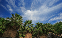Winter recollections about warm weather.../   ...