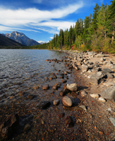 Jenny lake...
