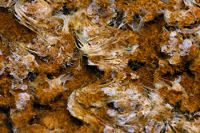 Macro-abstract-2/--2