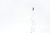 snow desert/ 