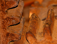 Tooth/
