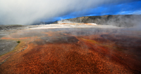 Alien world.../ ...