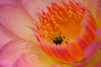 Macro-abstract-14.../--14...
