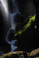Vaterfall's mystery/ 