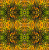 Macro-abstract-32.../--32...